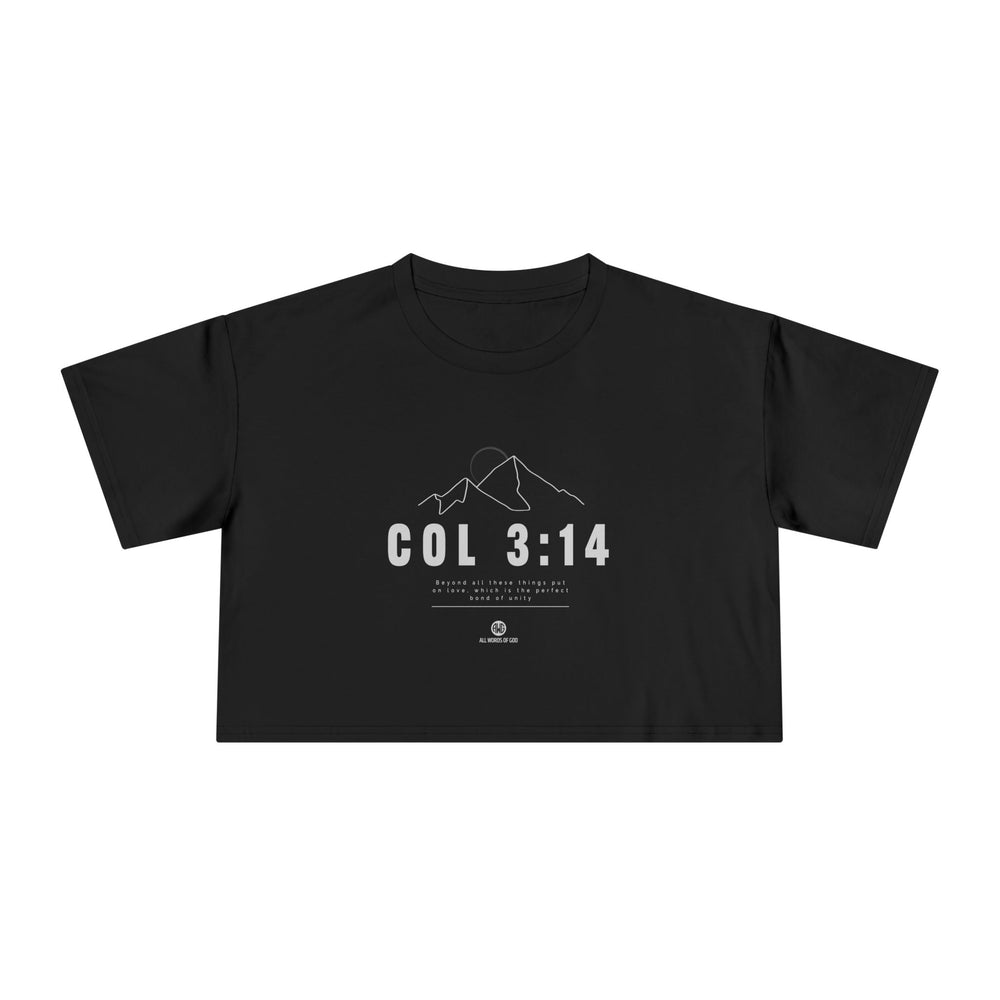 Rise Col 3:14 - Women's Crop Tee