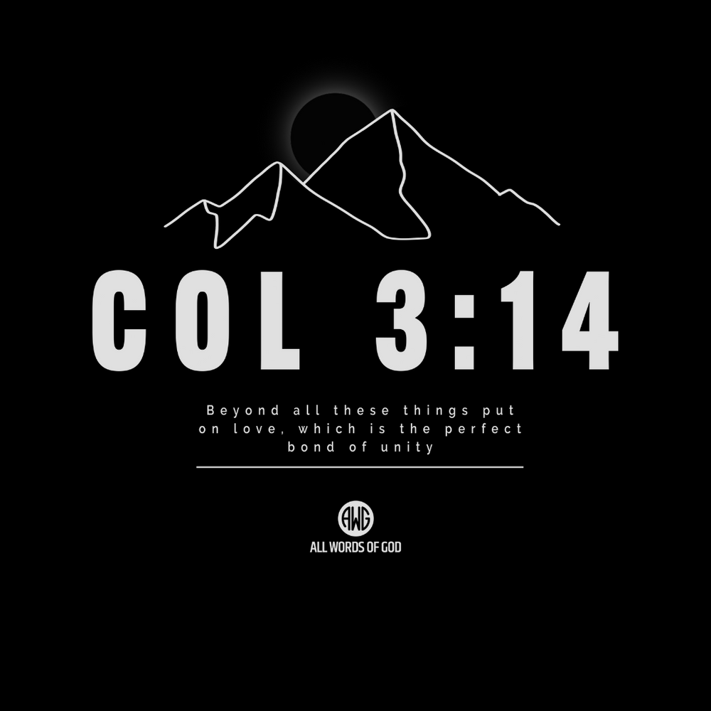 Rise Col 3:14 - Women's Crop Tee